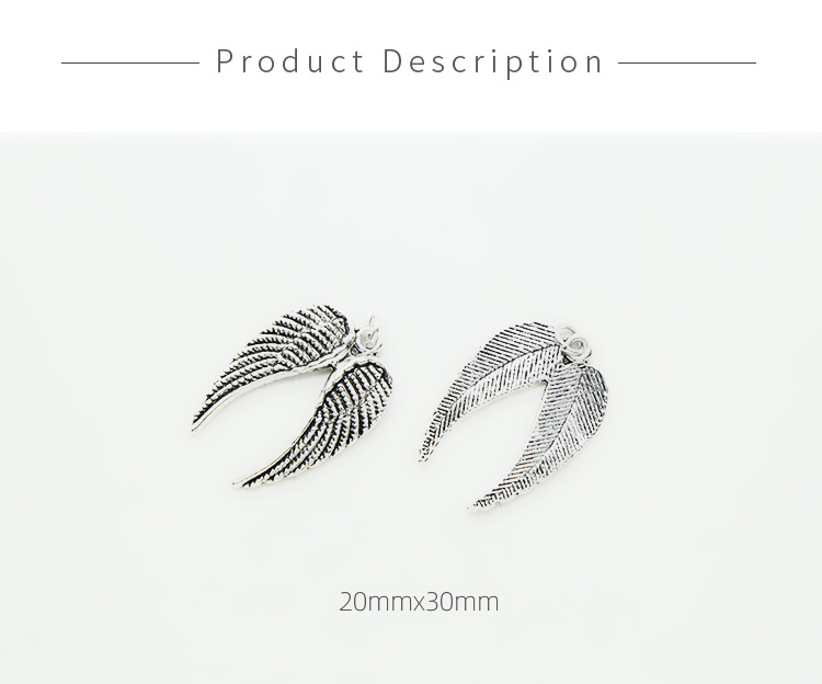 Wing Antique Silver Charm