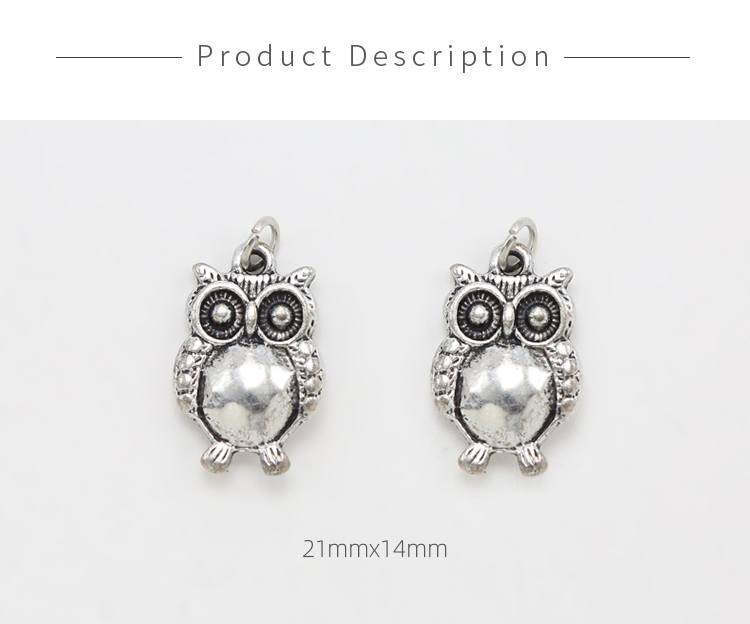 Double Sided Owl Antique Silver Charm