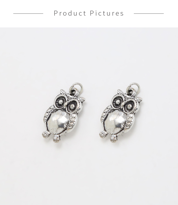 Double Sided Owl Antique Silver Charm