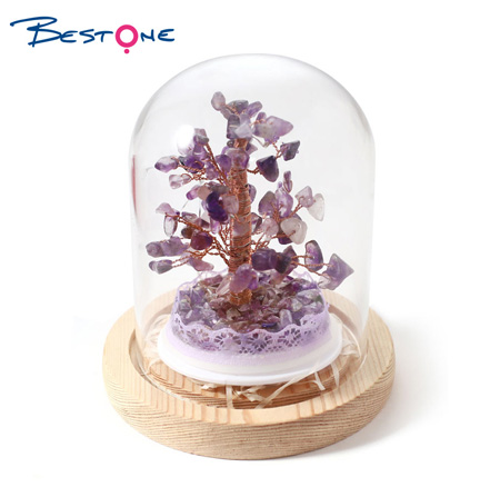 Gemstone Lucky Tree Small Potted Plants