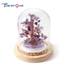 Gemstone Lucky Tree Small potted plants