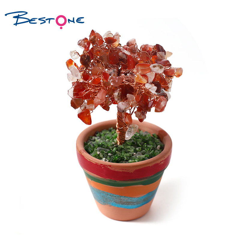 Gemstone Lucky Tree Small potted plants