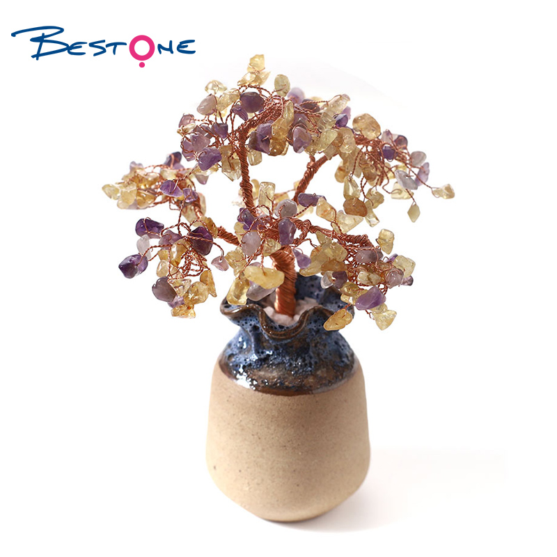 Gemstone Lucky Tree Small potted plants
